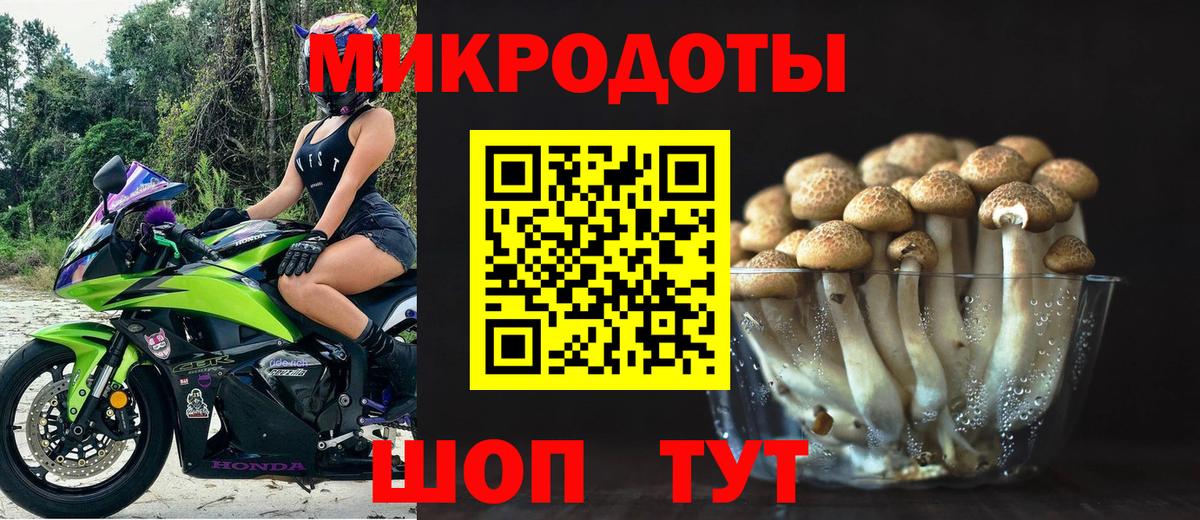 Вязники  Псилоцибиновые грибы MAGIC MUSHROOMS  Вход с VPN  Псилоцибиновые грибы Magic Shrooms 